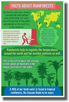 Rainforest Facts - New Environmental Awareness POSTER