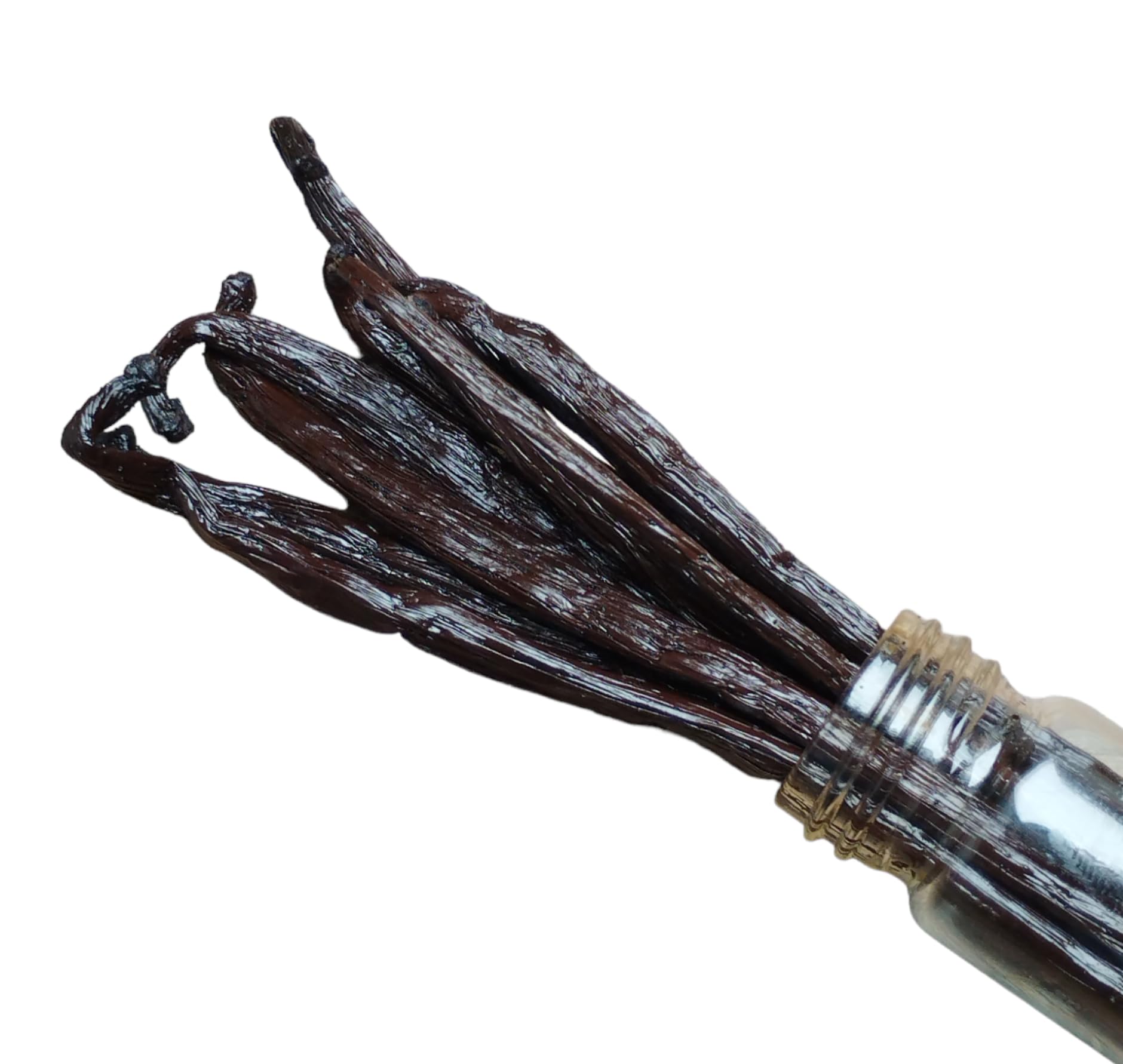 10 Baccelli Di Vaniglia Borbone Del Madagascar - Aroma Intenso E Sapore Delicato In Tubo (12 A 14 CM, 10.00, unità)
