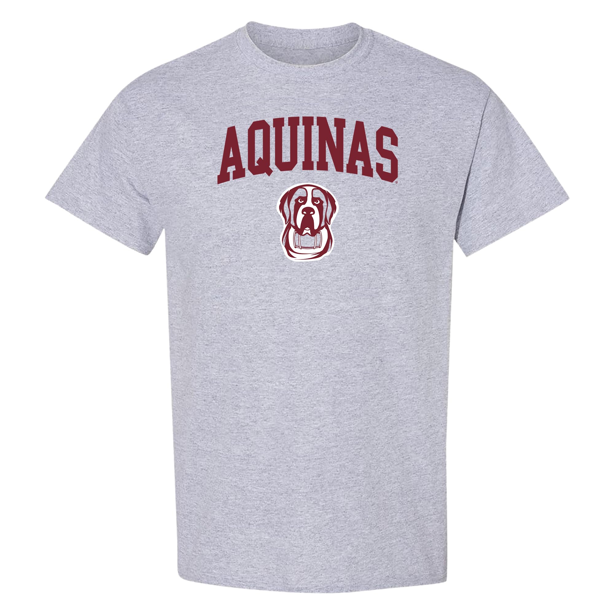 NCAA Arch Logo - NCAA Sports Team Color T Shirt — view 113