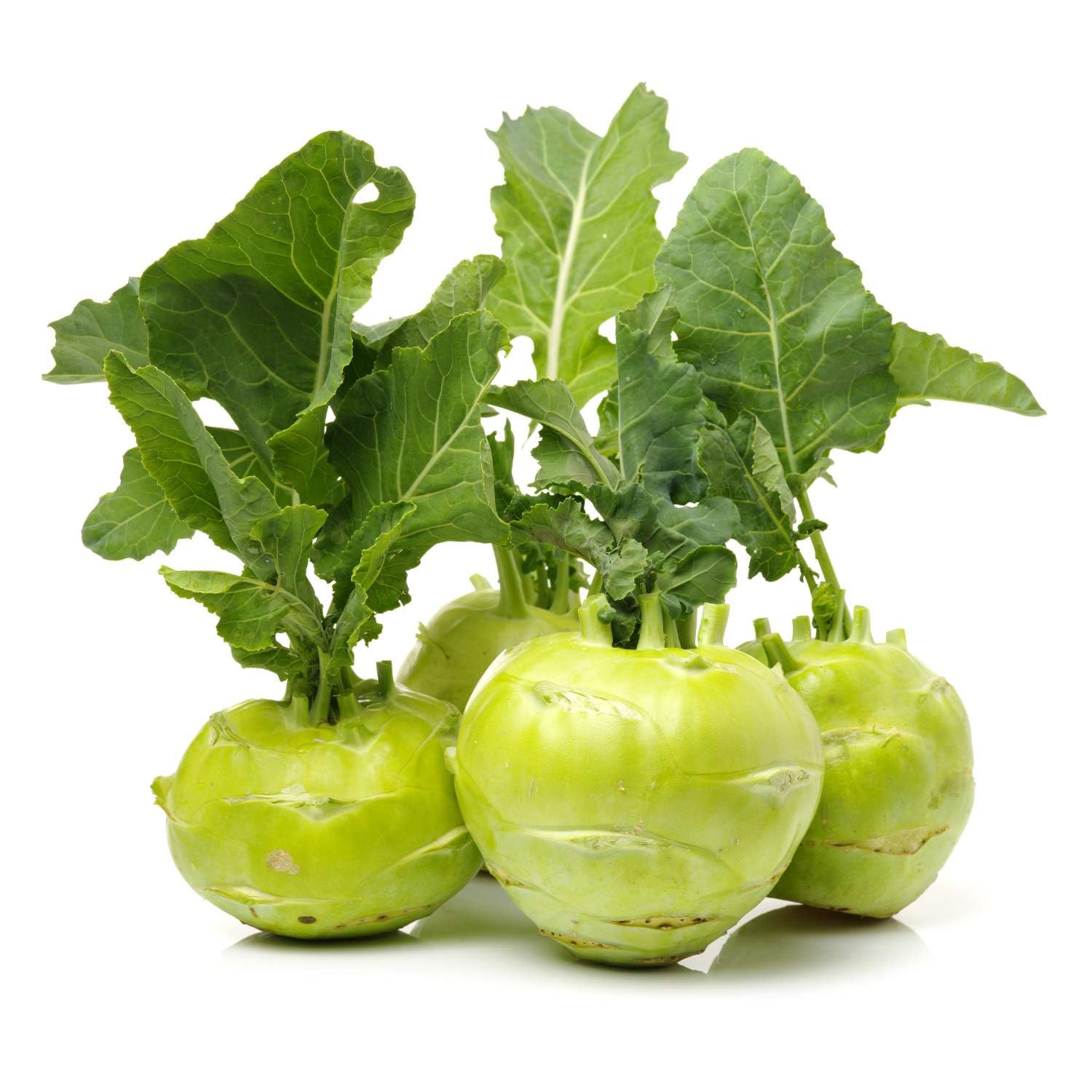 1000 Seeds - Early White Vienna Seeds | for Planting Kohlrabi or Su Hao | Non-GMO, Heirloom Variety for Easy Home Gardening | Bulbs for Unique Dishes - The Rike