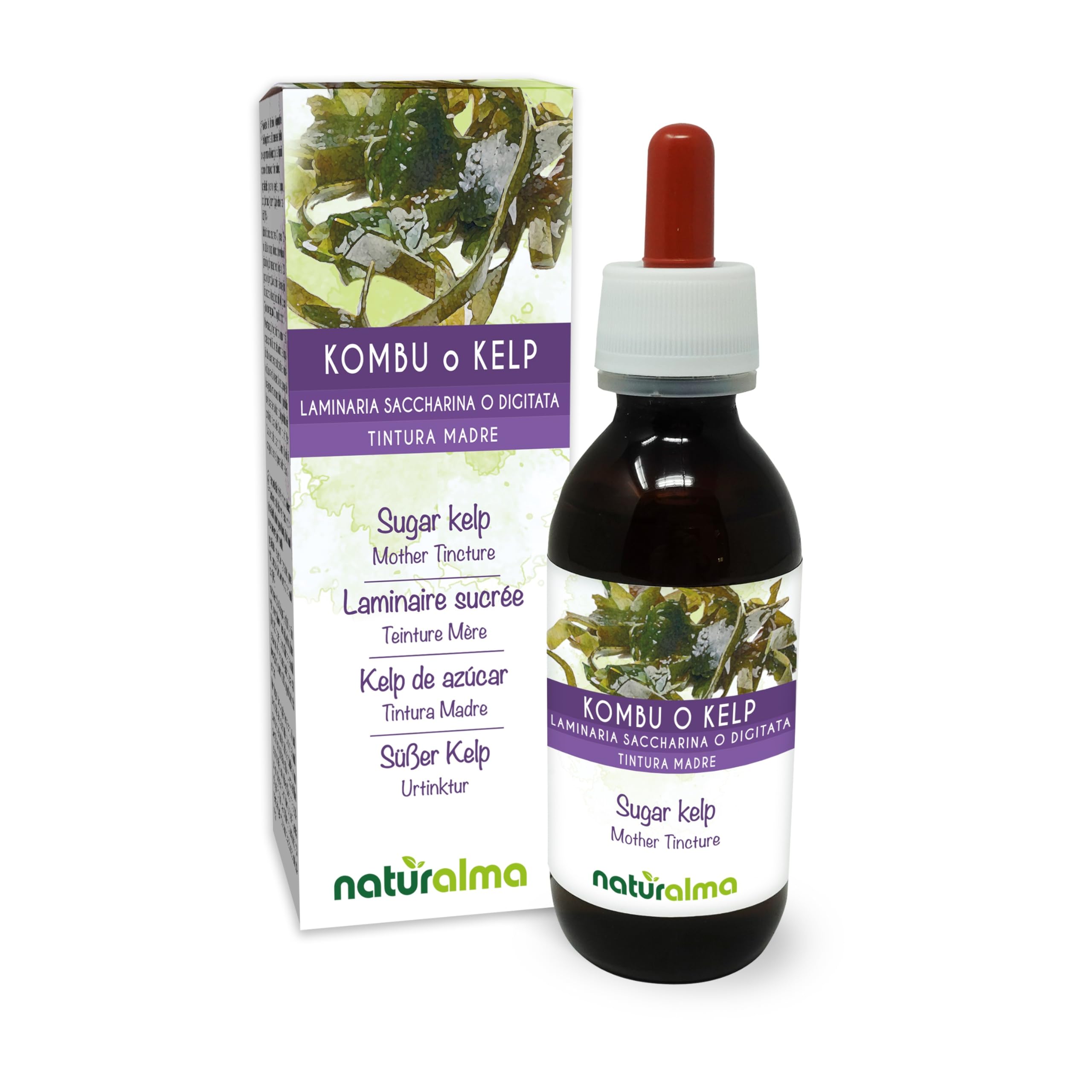 Sugar kelp or Kombu (Laminaria saccharina or L. digitata) Thallus (Seaweed) Alcohol-Free Mother Tincture Naturalma - Liquid Extract Drops 120 ml - Food Supplement - Vegan