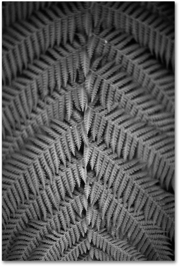 Trademark Fine Art Mr Kurtz Wall Decor