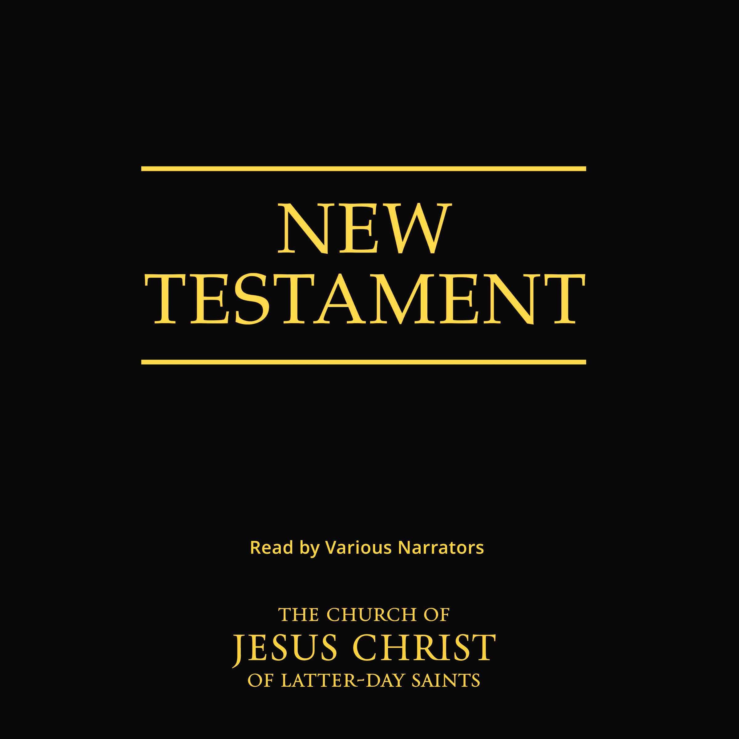 Cover art for The New Testament