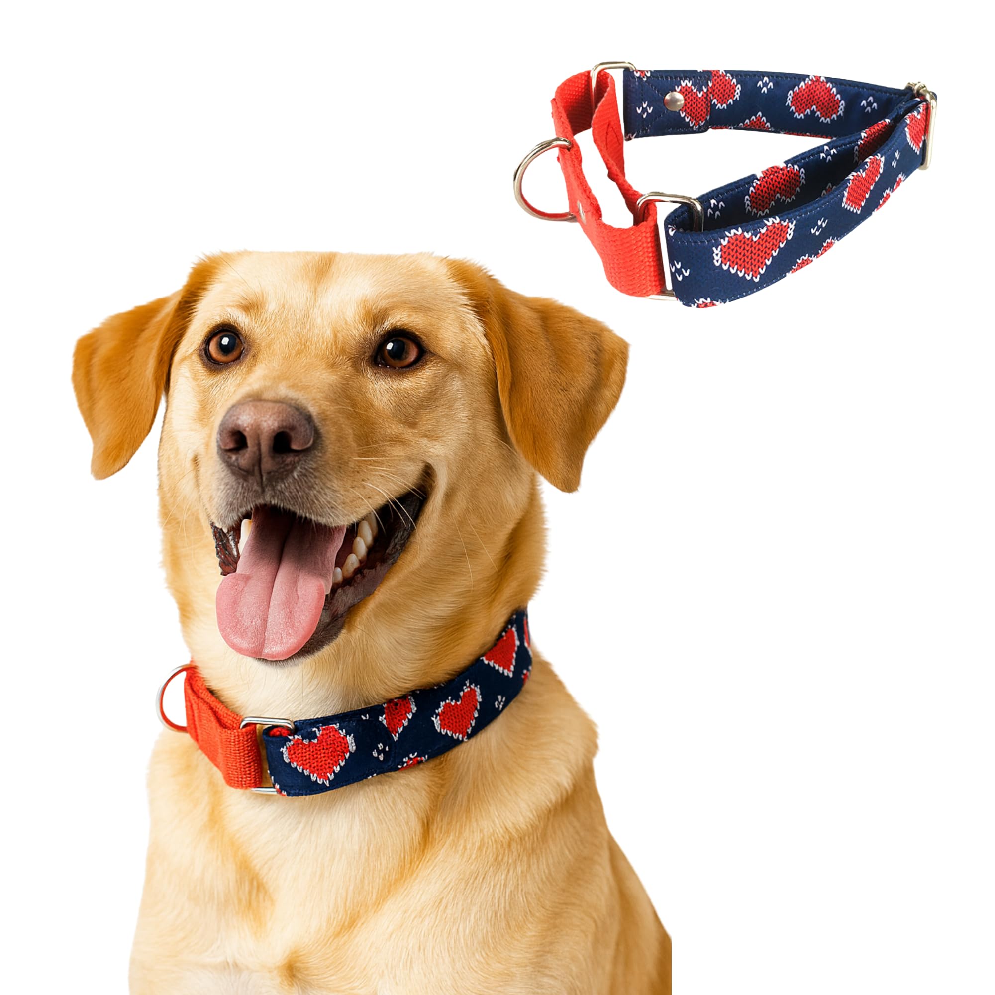 Dog-O-Bow Cotton Blue and Red Heart Martingale Dog Collar, Durable, Comfortable & Adjustable Training Collar (Extra Large)-image-21