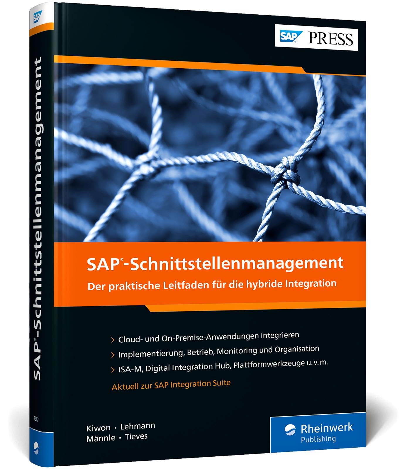 SAP-Schnittstellenmanagement: Ihr Guide für den Schnittstellendschungel. Mit zahlreichen Best Practices auf über 500 Seiten (SAP PRESS)
