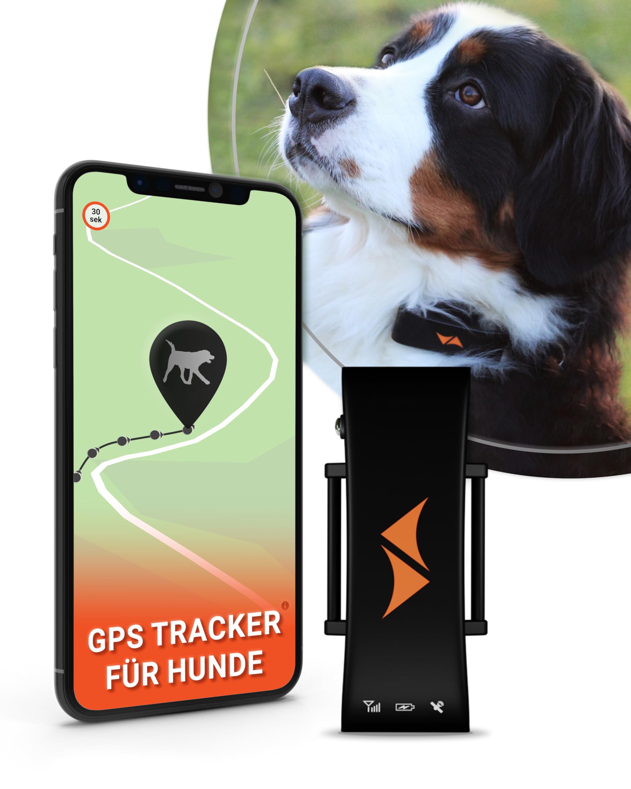 PAJ LIGHT MINI - sterk oplichtende mini lichthalsband voor kleine middelgrote honden & katten - aanpasbare bevestiging - 100% waterdicht - 7 kleuren
