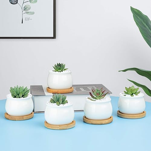Miniatura 5 de T4U Macetas pequeñas para suculentas blancas con bandejas de bambú, macetas de cerámica para suculentas de interior con drenaje, contenedor pequeño