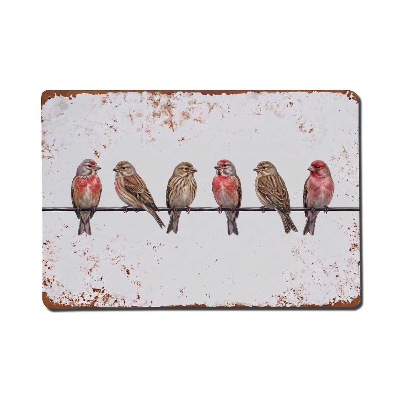 Vintage Retro Birds Linnet Metal Tin Sign