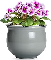 Vista 12 de Macetas de riego automático de 6 pulgadas para plantas de interior, macetas de cerámica violeta africana con maceta interior absorbente, maceta