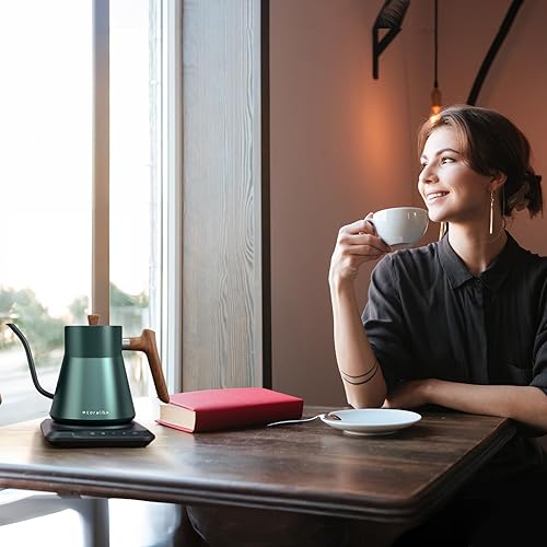 Miniatura 6 de Ecorelax Hervidor eléctrico de cuello de cisne con control de temperatura preciso de  1 , 1200 W para café y té, 100% acero inoxidable, hervidor de