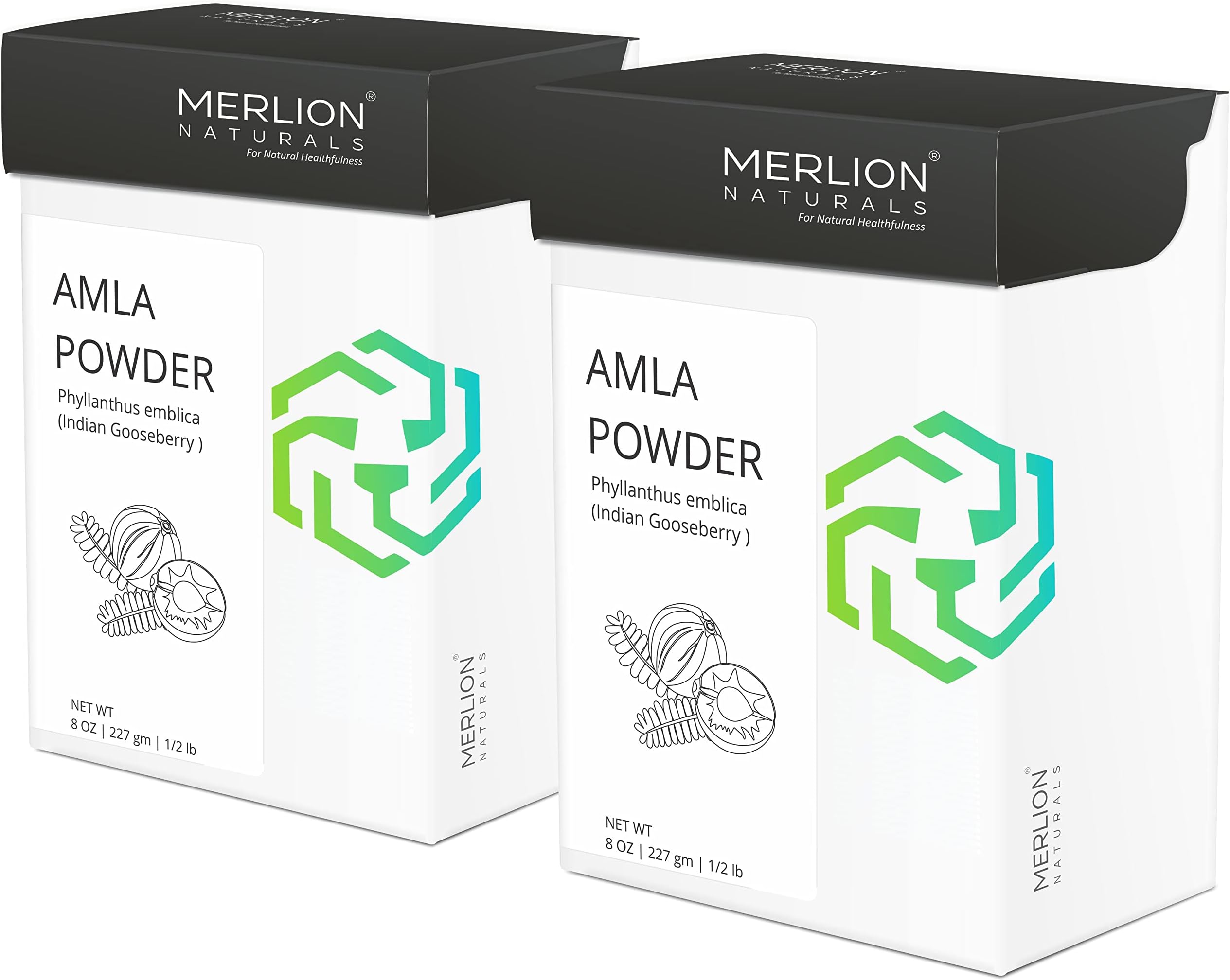 Amla Powder by Merlion Naturals | Superfood | Phyllanthus emblica | Emblica officinalis | Supports Immunity | 100% Pure and Natural (16 OZ)