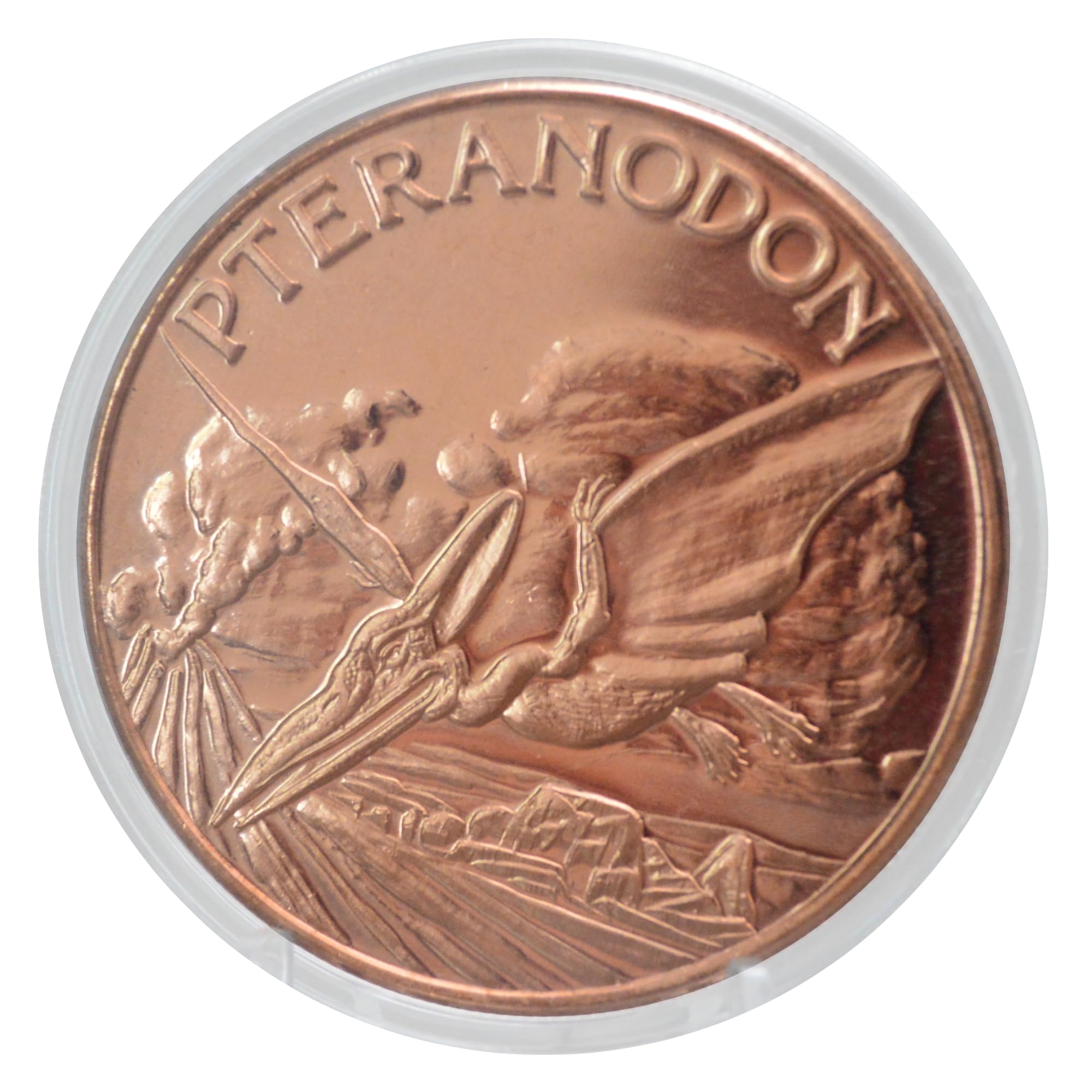 Amazon.com: Prehistoric Pteranodon Dinosaur - 1 oz .999 Pure