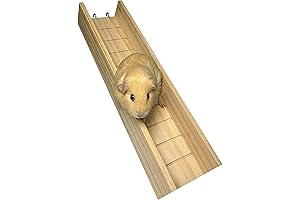 Guinea Pig Cage Bridge: Explore Their Habitat Range