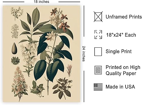 Miniatura 569 de Poster Master Póster vintage de orquídea, estampado de flores retro, arte de pared de plantas exóticas, arte botánico, regalo para hombres y