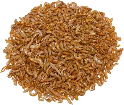 Kurutulmuş Gammarus Kaplumbağa Yemi 10 gr