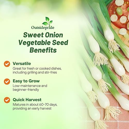 Miniatura 3 de Outsidepride Allium Cepa White Lisbon Semillas de cebolla dulce  1000 unidades anuales, de alto rendimiento, ideal para plantar primavera y otoño,