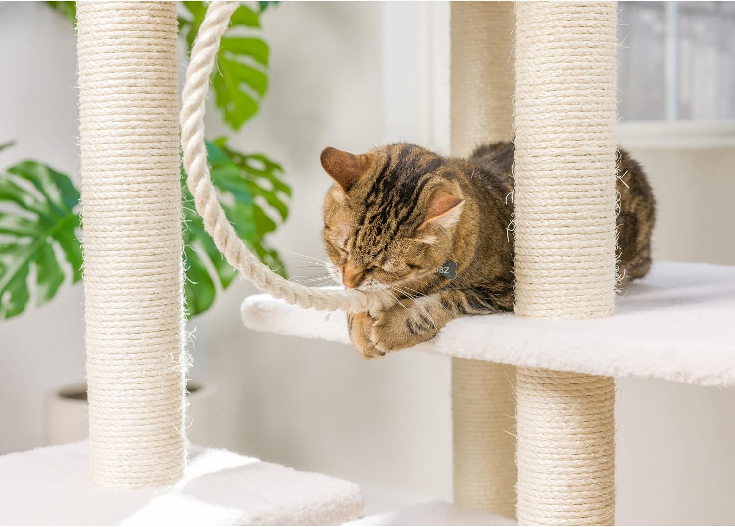 review Armarkat B8201 Classic Cat Tree in Ivory, Jackson Galaxy Approved, Real Wood Multi Levels Cat Jungle Furniture