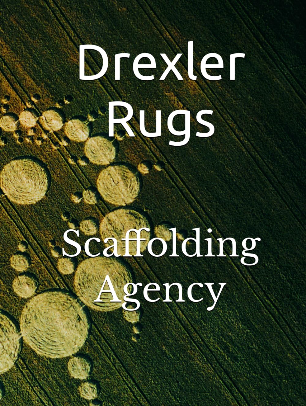 Scaffolding Agency (Cognitive Literacy)