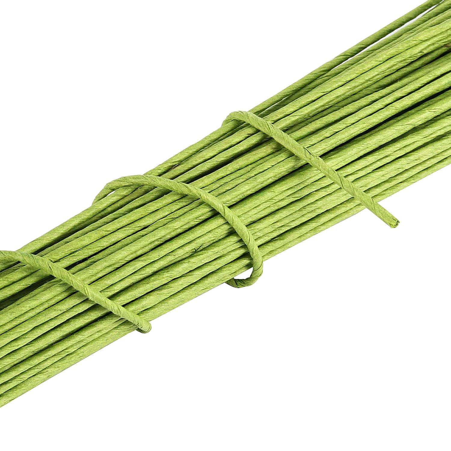 FUNSUEI 500 PCS 15.5 Inches 14 Gauge Floral Stem Wire, Green Floral Paper Wrapped Wire for Flower Making, DIY Arrangements and Decorations