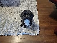 Review Image by Leticia L. Leticia L.