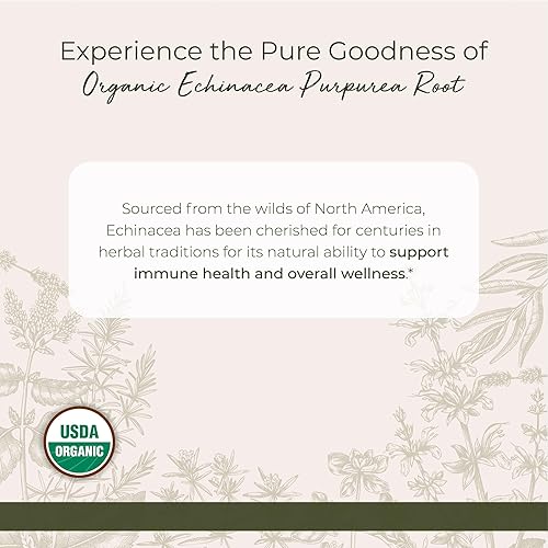 Miniatura 2 de Starwest Botanicals Polvo de raíz de purpurea de equinácea seca orgánica, hierba suelta para té, tinturas y mezclas de hierbas naturales, equinácea