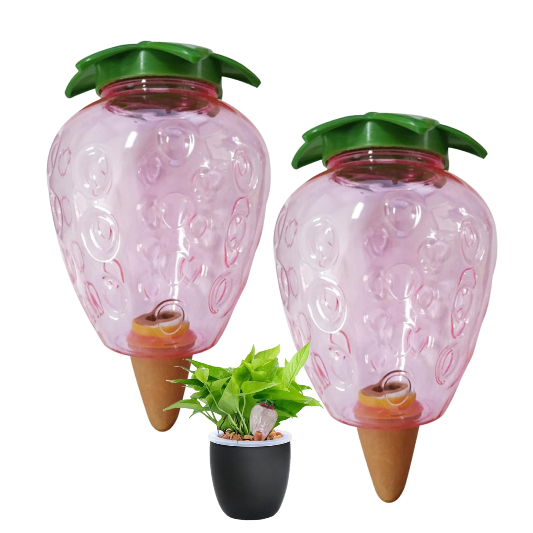 Auto-arrosage pour plantes d'intérieur et d'extérieur avec réservoir fraise 500 ML, 2 pièces