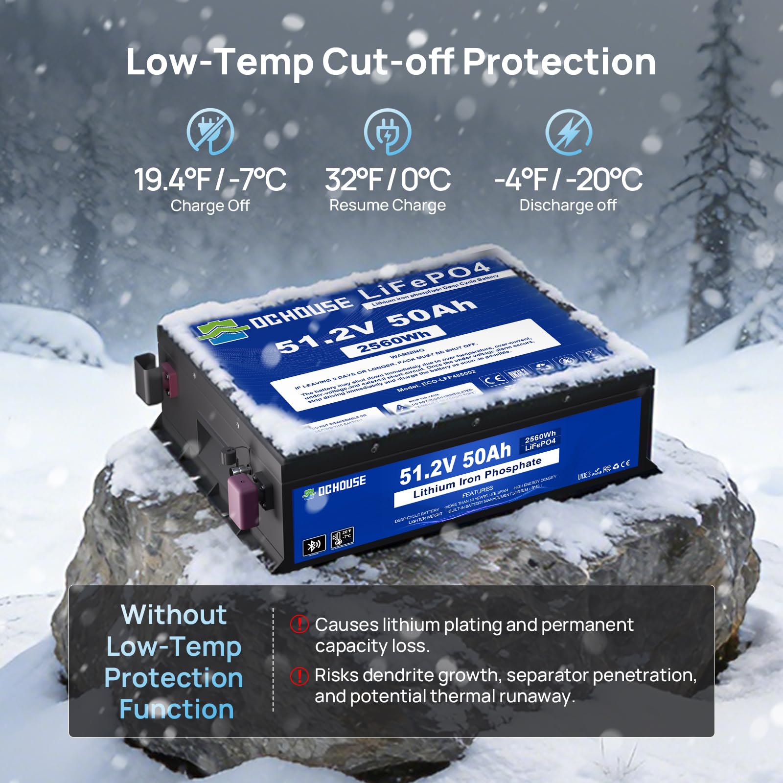 DCHOUSE Batteria LiFePO4 48V 50Ah con Caricatore 18A, Bluetooth e Monitor, BMS 100A, Protezione Bassa Temperatura, Carcassa Metallica, per Golf Cart, Camper e Sistema Solare