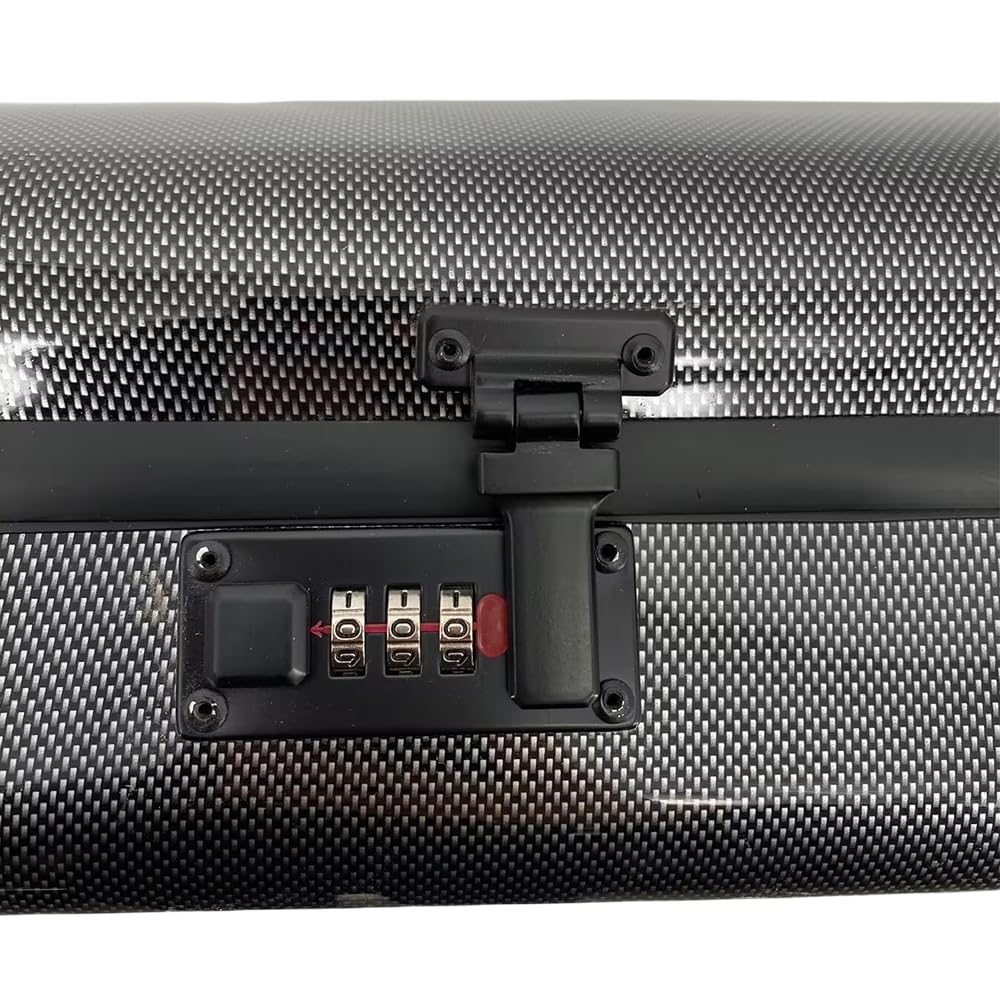 Violín profesional de doble funda (4/4) y viola (16-17 pulgadas), fibra de carbono, con bloqueo de contraseña, 2 correas ajustables, 4 soportes para arcos (negro)