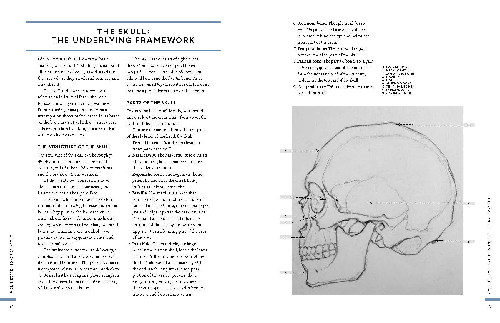 Facial Expressions for Artists: Techniques for Capturing Emotion and Mood in Portrait and Character Drawings (10)