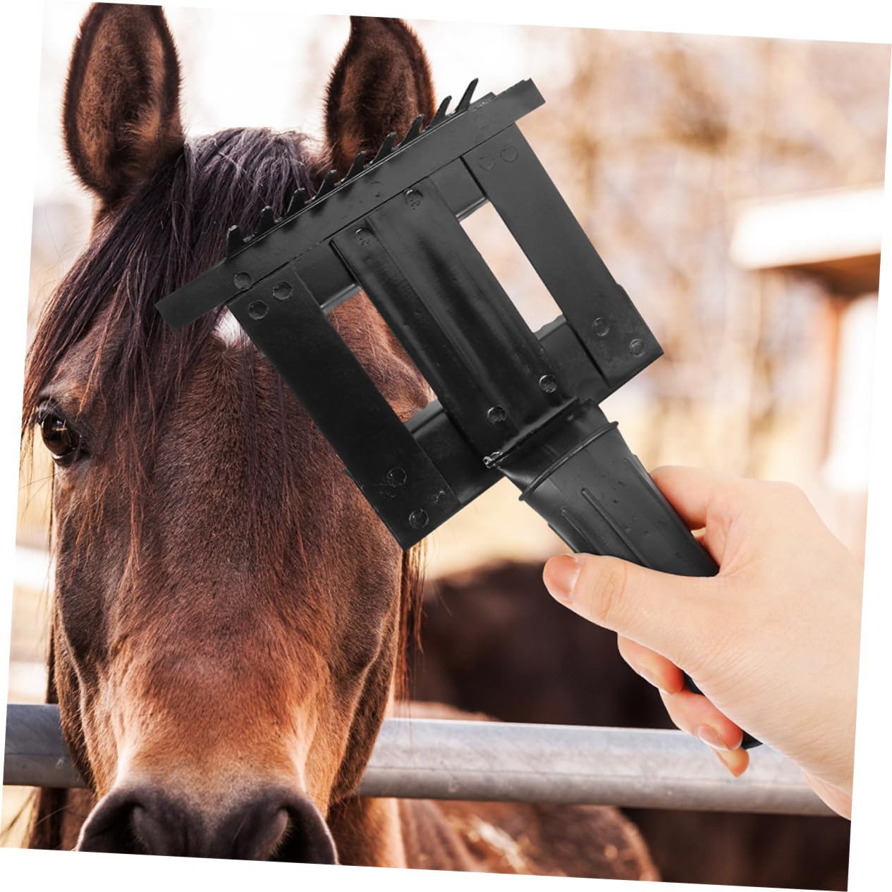 INOOMP 2pezzi Spazzola Per Toelettatura Crine Di Cavallo Pettine Metallico Per Pulizia Pelo Grande Animale Rastrello Portatile Per Cavalli e Bovini
