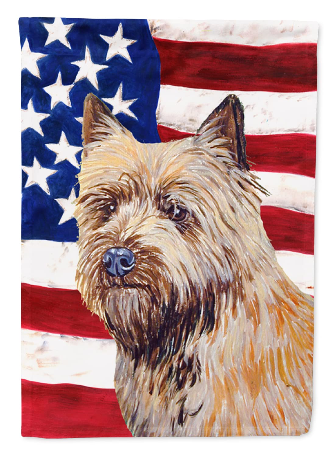 Drapeau Irish Setter américain LH9541GF Caroline's Treasures petit format