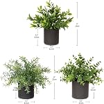 3 Pack de petites plantes faux avec pot en céramique - Plantes artificielles en pot pour la ferme rustique, Accents de plateau, Home Office, Librairie - Faux plantes intérieures