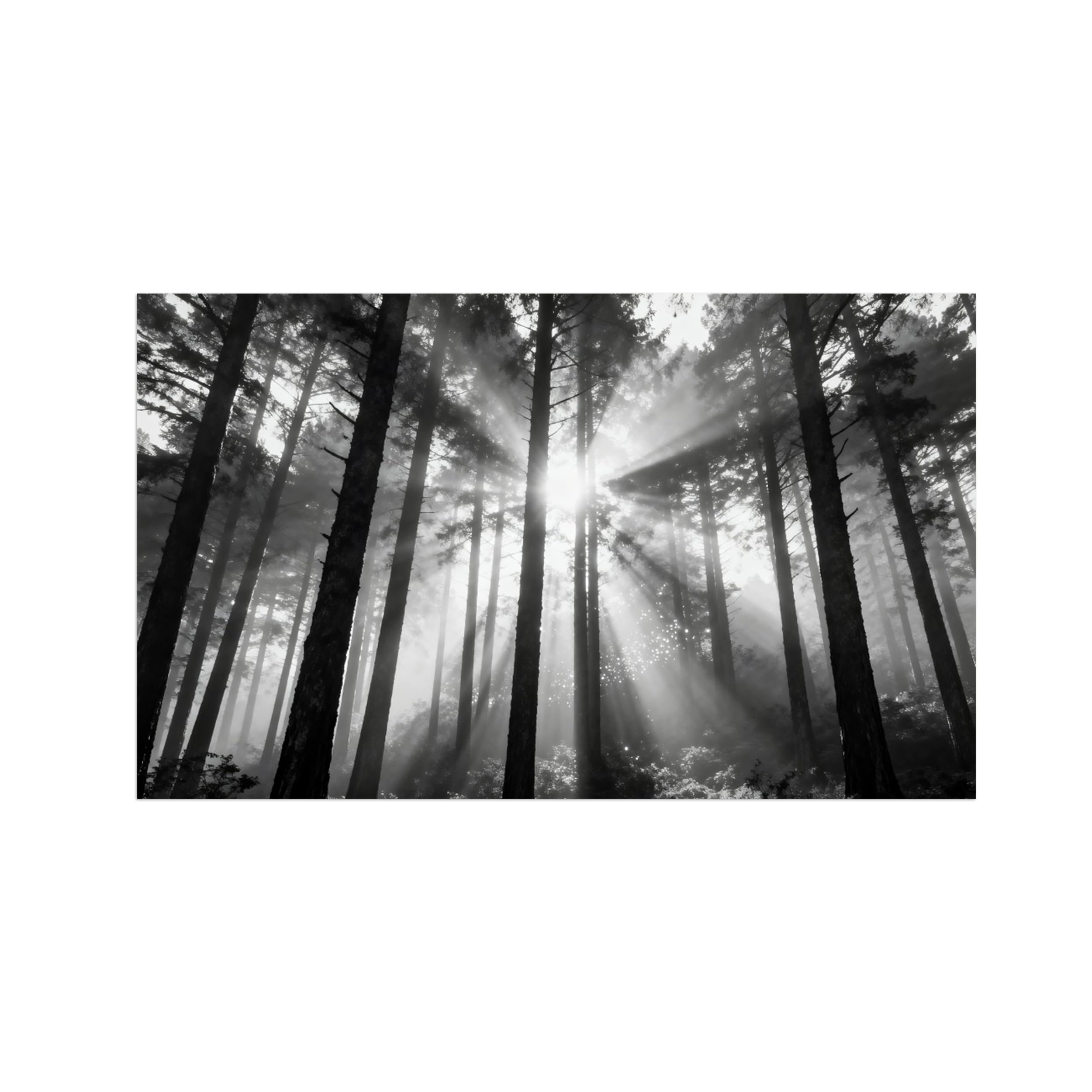 OZPWBVY Black and White Landscape Print Painting-Forest Tree Sunshine 7-Minimalist Canvas Wall Art Picture for Home Decor 24x39in 60x100cm Unframed