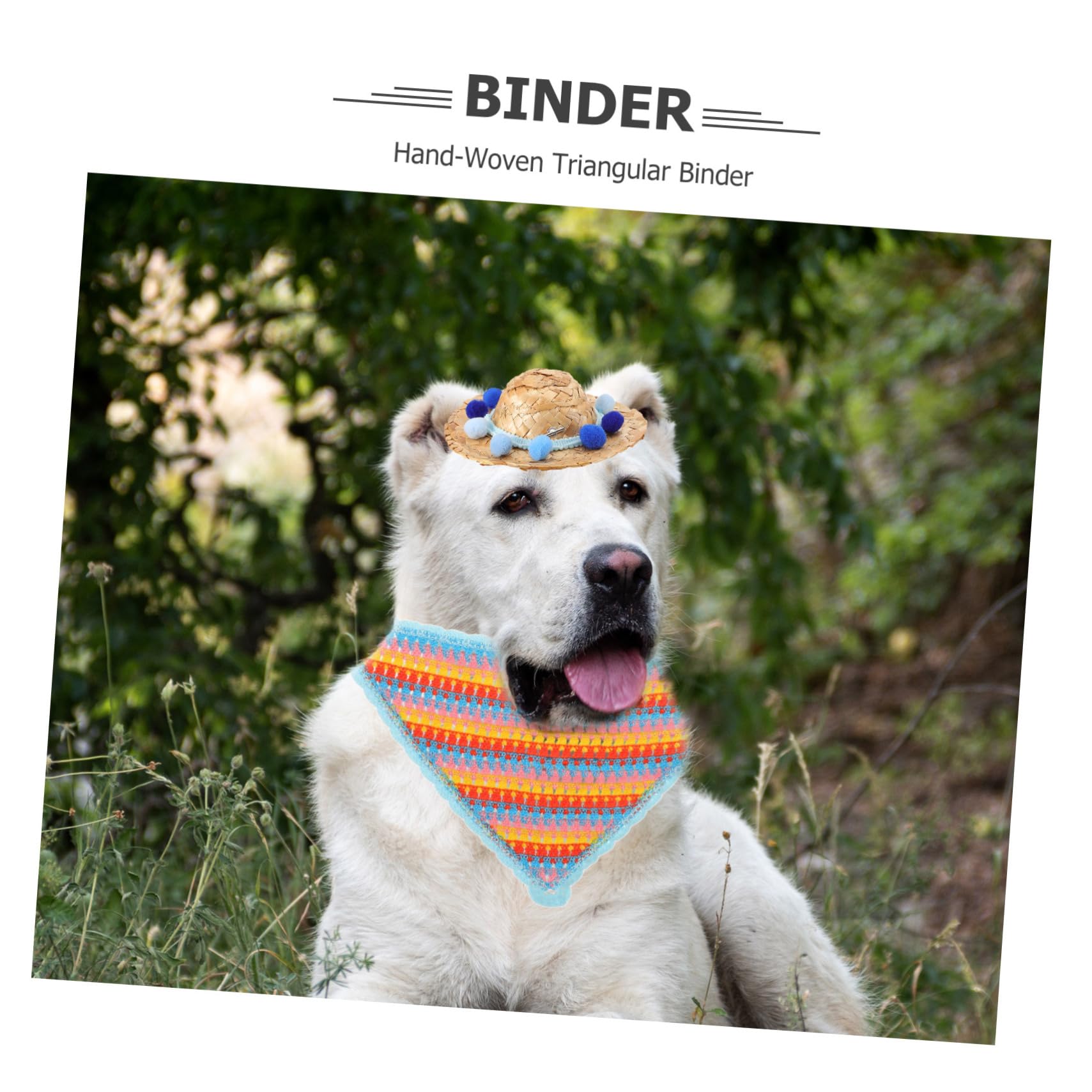 Toyvian 1ensemble Chapeau pour Chien avec Bandana De Costume pour Animaux De Compagnie Accessoire Photographique pour Sorties Et avec Pompon