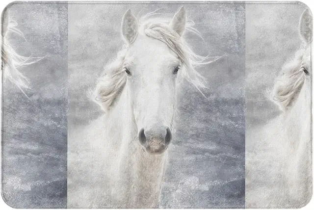 Paillasson Camargue antidérapant et lavable 24x16 pouces - Tapis de porte intérieur/extérieur