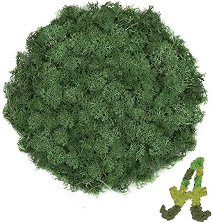 3.5 OZ Dark Green Reindeer Moss, Preserved Moss for Plants, Moss Decor, Green Moss for Crafts, Moss for Potted Plants, Craft Decorative Moss Decor, Dried Moss