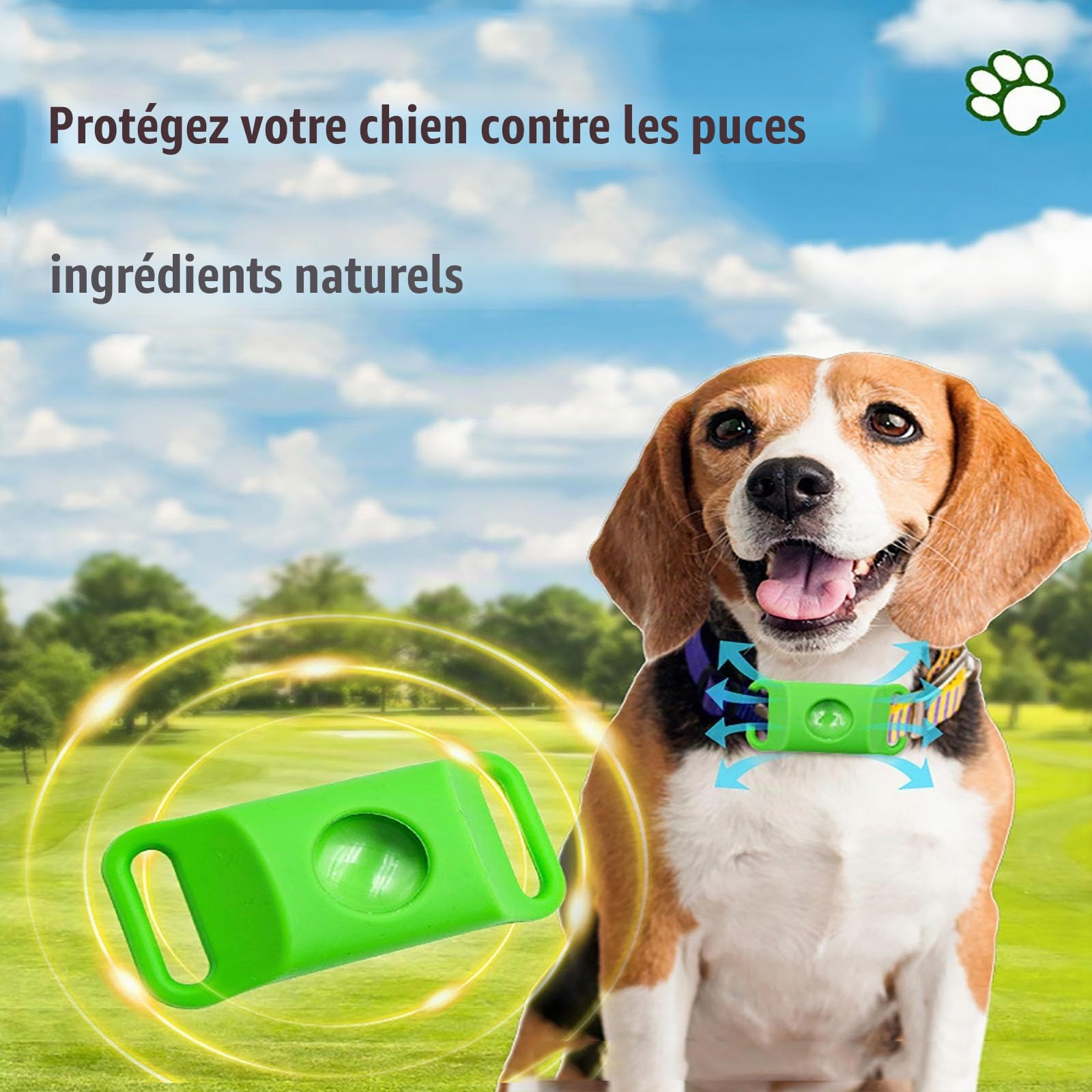 Colliers, médailles et pendentifs réglables pour Chiens, 100% naturels, adaptés à Toutes Les Races de Chiens. Imperméables, Ils résistent à la Pluie, à la Boue, aux rivières et à la baignade