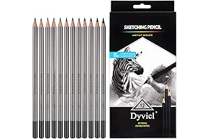 Dyvicl Professional Graphite Sketching Drawing Pencils