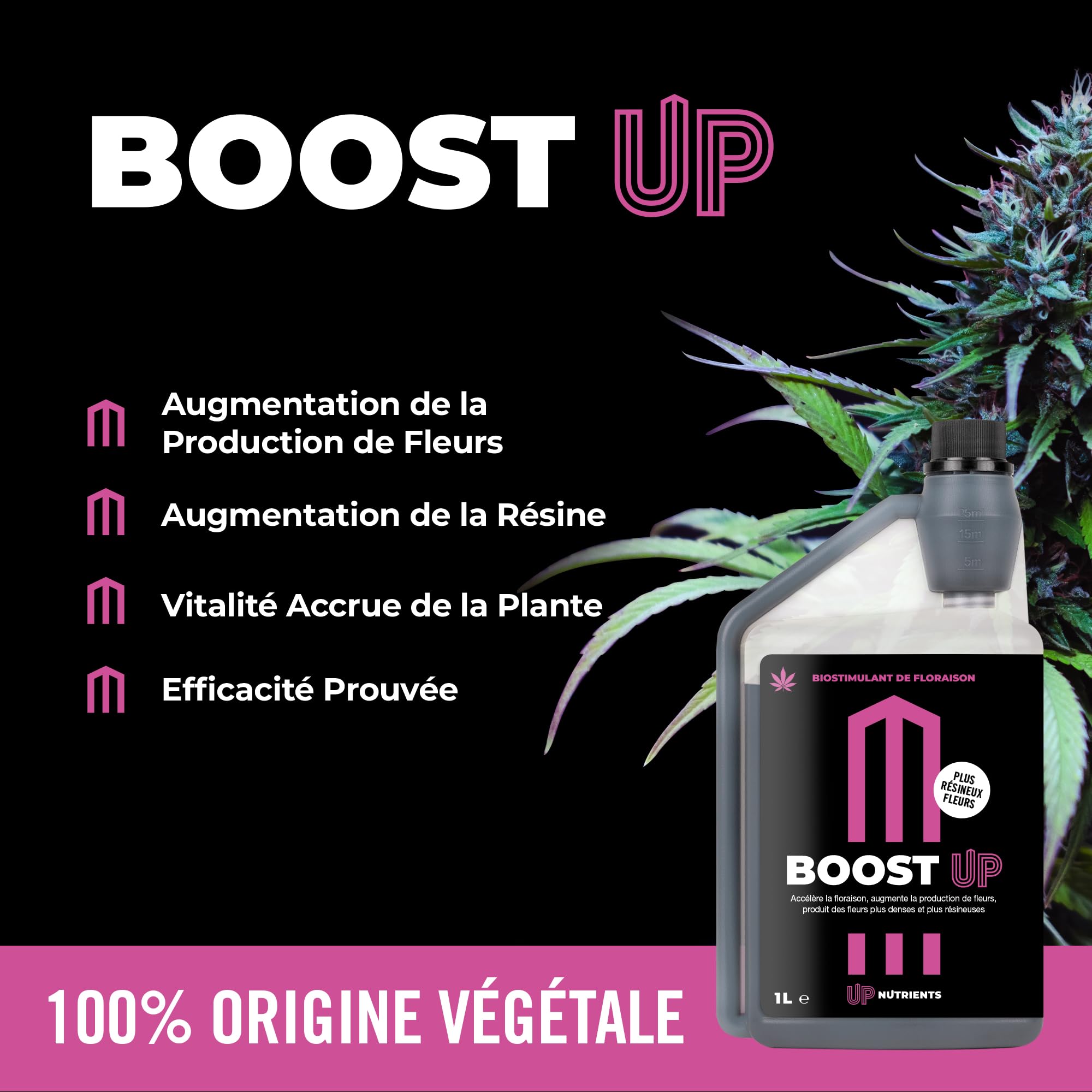 UP NUTRIENTS Bio Engrais Stimulateur de Floraison BOOST UP 1L | Bio Stimulateur pour Plantes et Cultures | Accélérateur de Production Florale | Fleurs et Fruits Compacts et Résineux