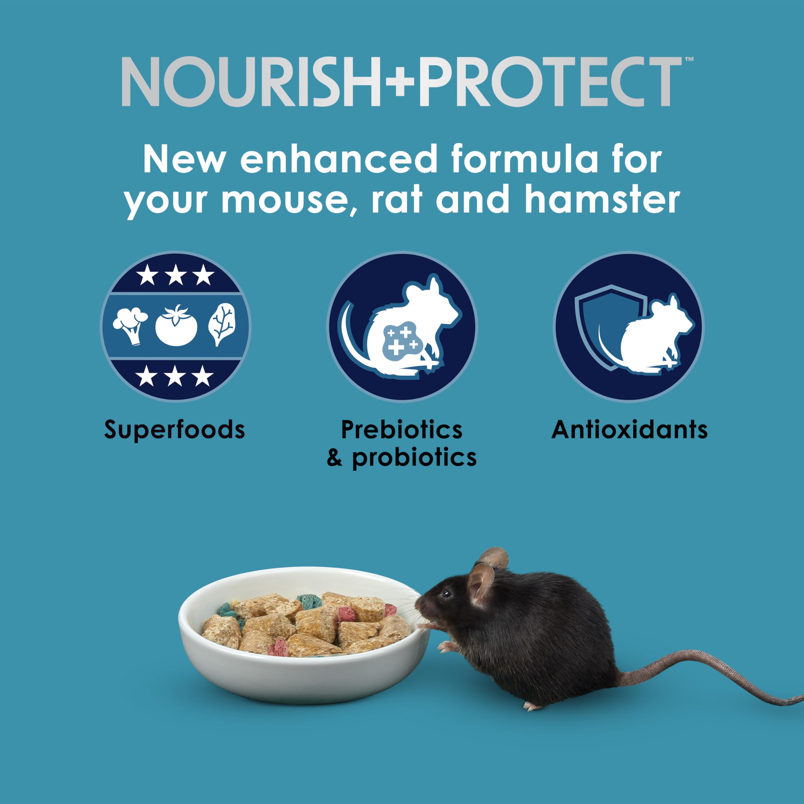 Kaytee Forti Diet Pro Health Small Animal Food For Mouse And Pet Rats, 3-Pound