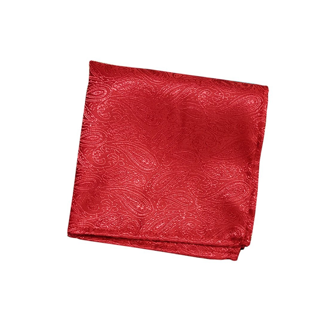 VIBHAVARIMen's Red Microfiber Pocket Square