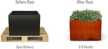 Plantercraft Corten Steel Metal Square Planter Box, 20 Length x 20 Width x 20 Height Cube, Modern Steel Garden planters for Commercial and Residential Design.