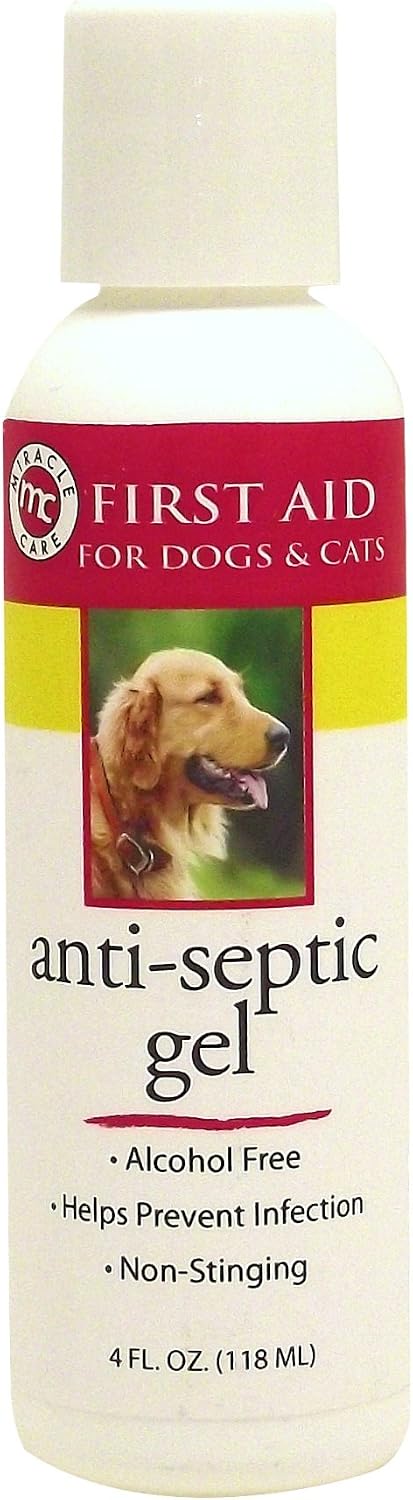 Miracle Care by MiracleCorp/Gimborn R-7 Anti-Septic Gel 4-Ounce