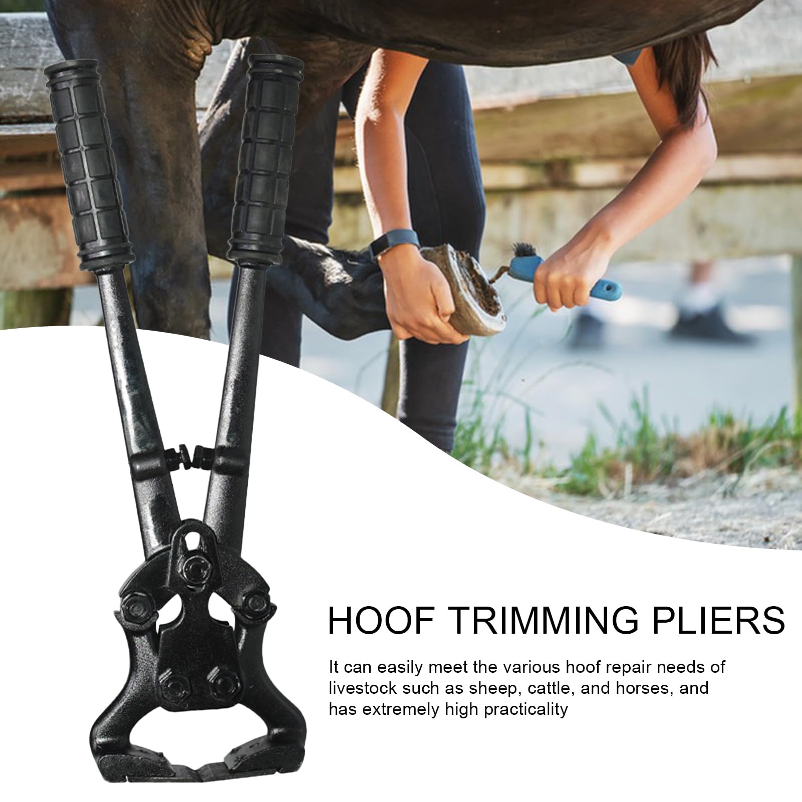 Alicates Para Cascos De Caballo Herramientas Y Dispositivos De Reparación | Tenazas De Acero Al Carbono Para Cabras Ovejas En Caballos Ganado Bovino Alpacas Y Ovejas