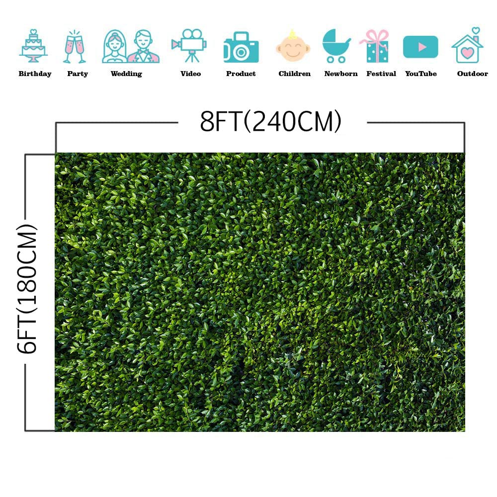 Art Studio Fotohintergrund 2,5x2,5 M – Grüne Blätter, Vinyl, Für Frühling, Outdoor, Babyparty, Hochzeit & Studiofotografie
