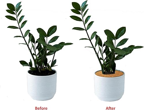 Miniatura 4 de Deepthi Alfombrilla de mantillo de fibra de coco para plantas, cubierta para macetas, protectores de anillos de árbol, disco de fibra de coco,