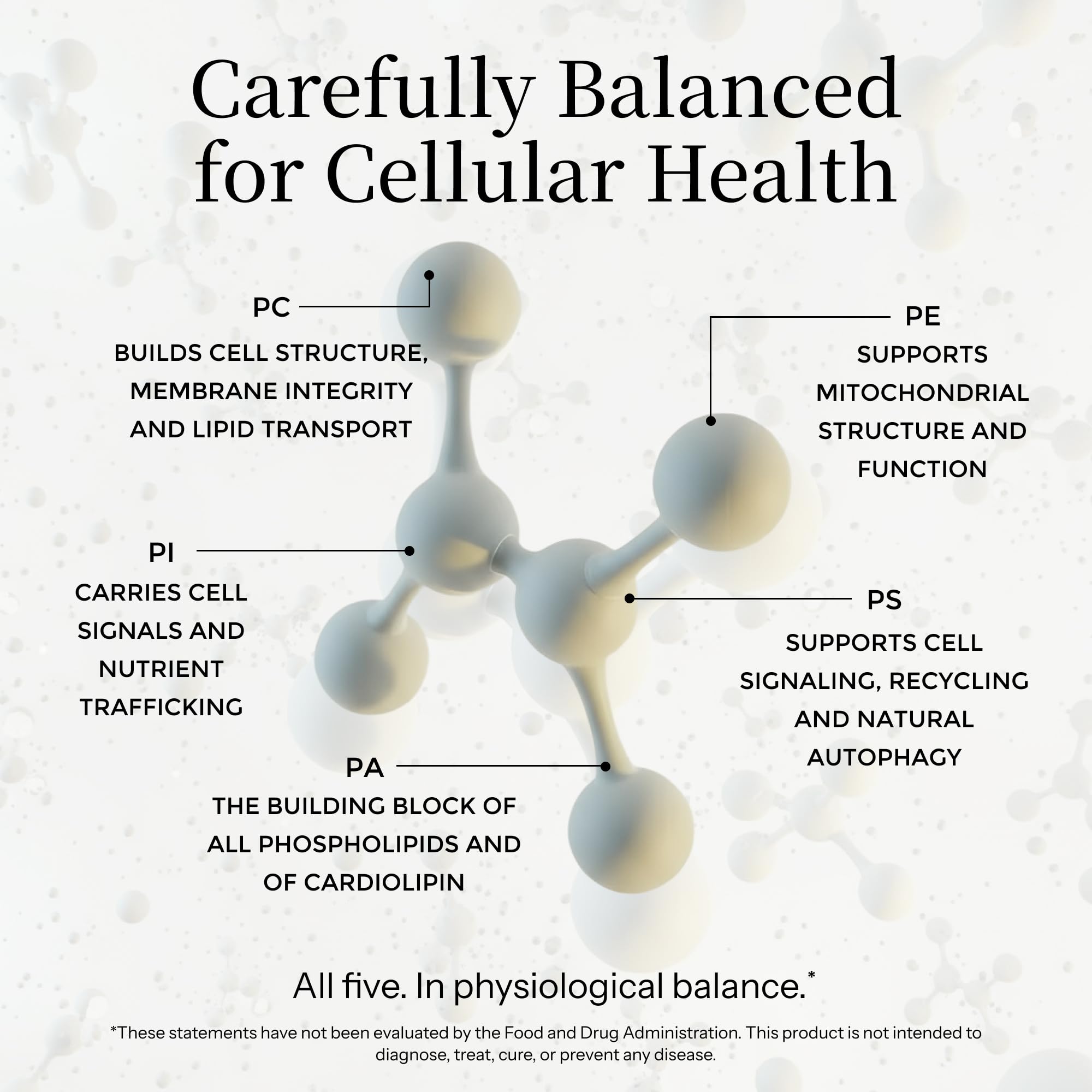 Essential Phospholipid Complex, Brain Health, 16 fl oz — Amazon image 4