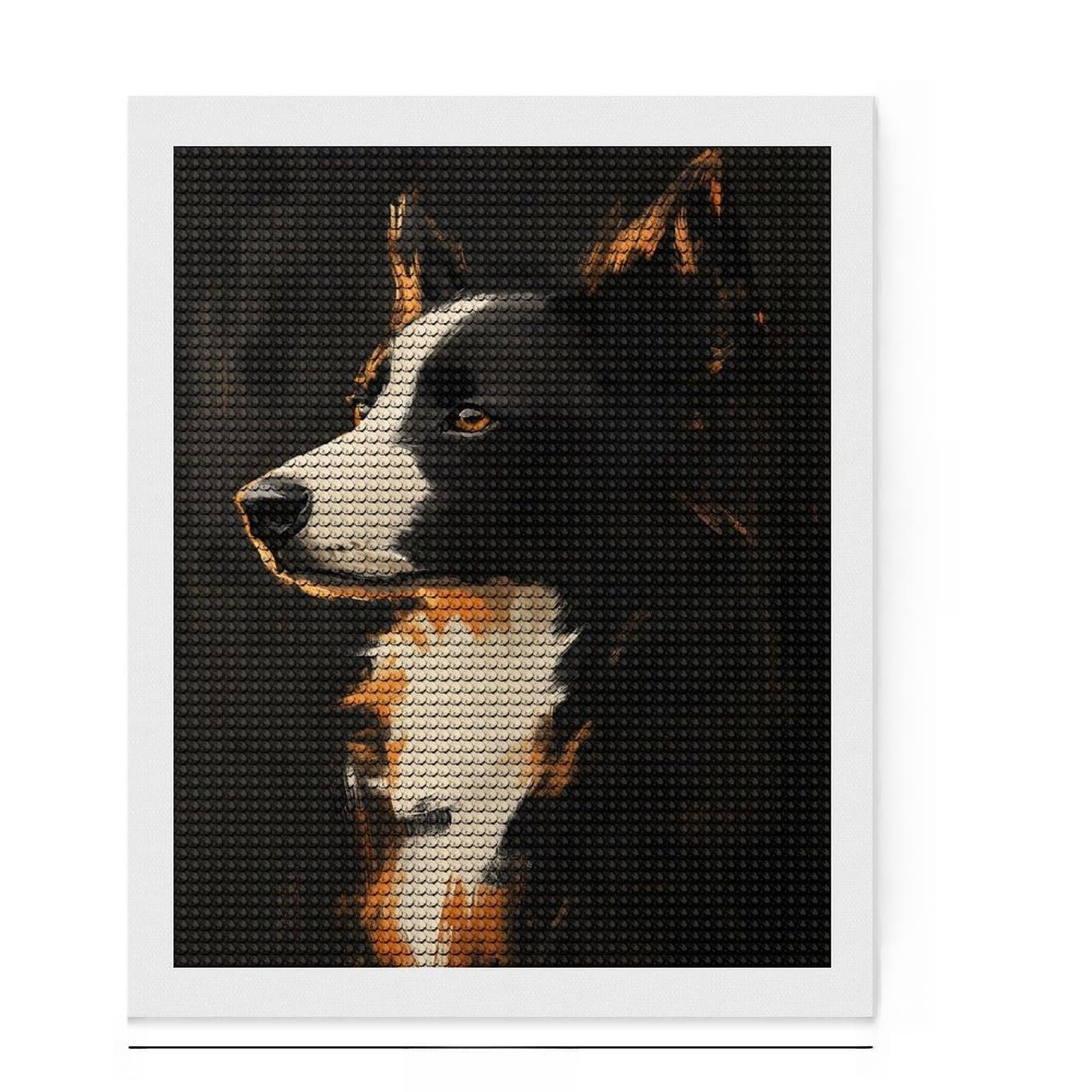 Junmoney Border Collie Dog Portrait Diamond Art Kit 16"x20", Calming Craft to Unwind, with Tool Kit, Living Room Decor, Festive Craft Gift