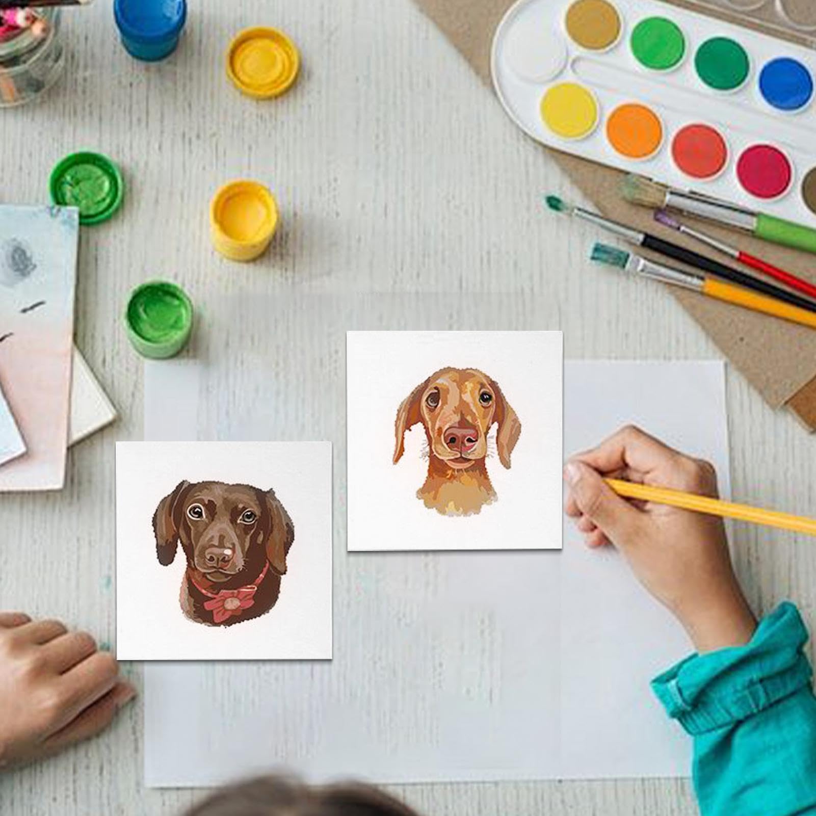 Vernice per cani per kit numerico, pittura per adulti per numero di kit per | Animera