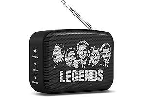 Saregama Carvaan Mini 2.0 Hindi: Your Nostalgic Music Companion